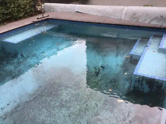 black spot in pool 3