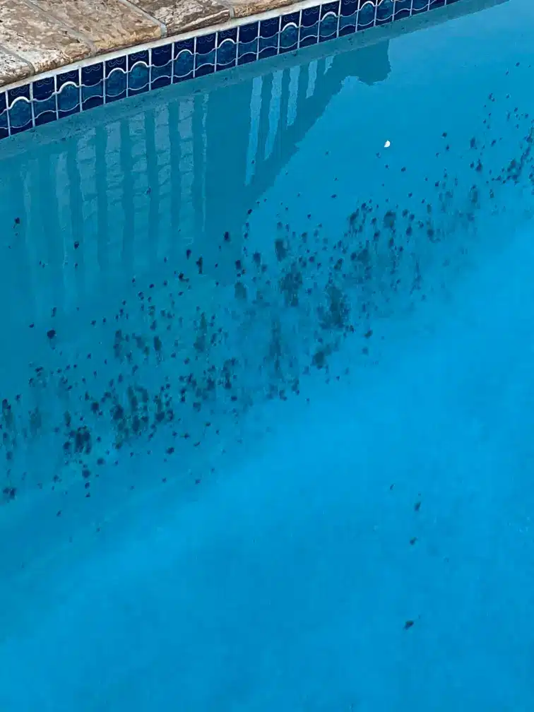 black spot in pool 4